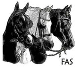 FAS - Friends of Arabian Sport Horses