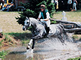 Die Anerkennung des Trakehner- und Oldenburger Verbandes sowie aller Süddeutschen Pferdezuchtverbände erlangte der Bajar-Enkel Benedict N (Bouquet AA x Märchenfee), der sehr erfolgreich im Vielseitigkeitssport vorgestellt wird. (Foto: P. Richterich)